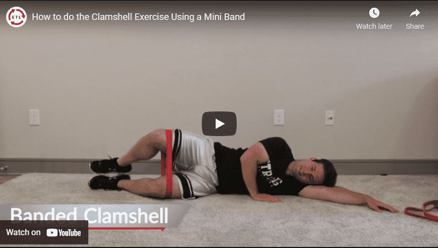 clamshell exercise