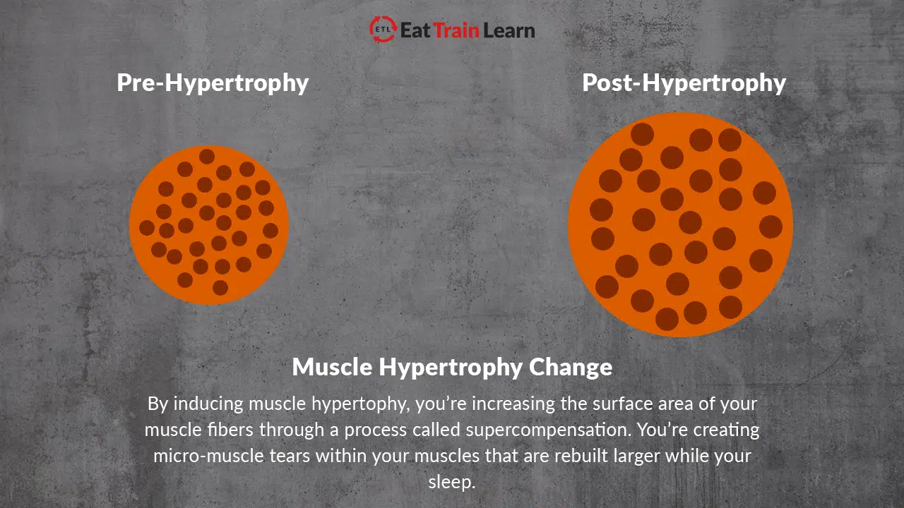 hypertrophy-muscle-before-after